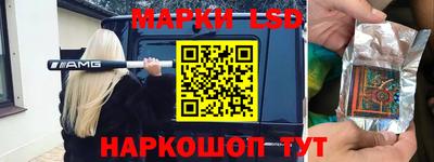 стафф Кингисепп