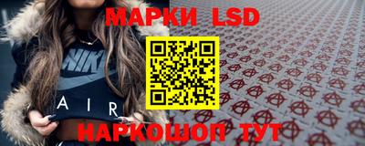 стафф Кингисепп
