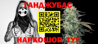 стафф Кингисепп