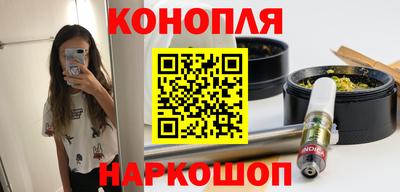 стафф Кингисепп