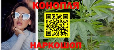 стафф Кингисепп