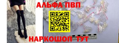 стафф Кингисепп