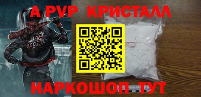 стафф Кингисепп