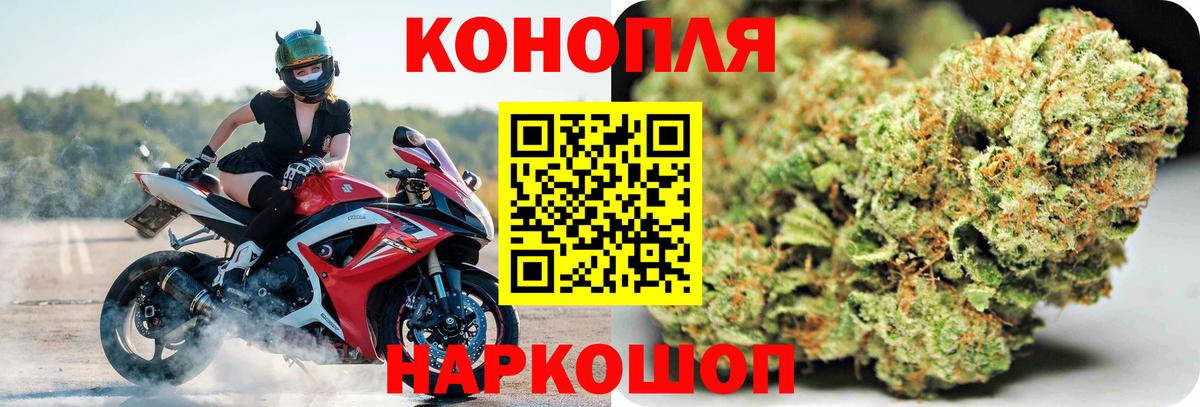 Каннабис сатива Холмск
